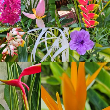 热带兰塔度假村-官方