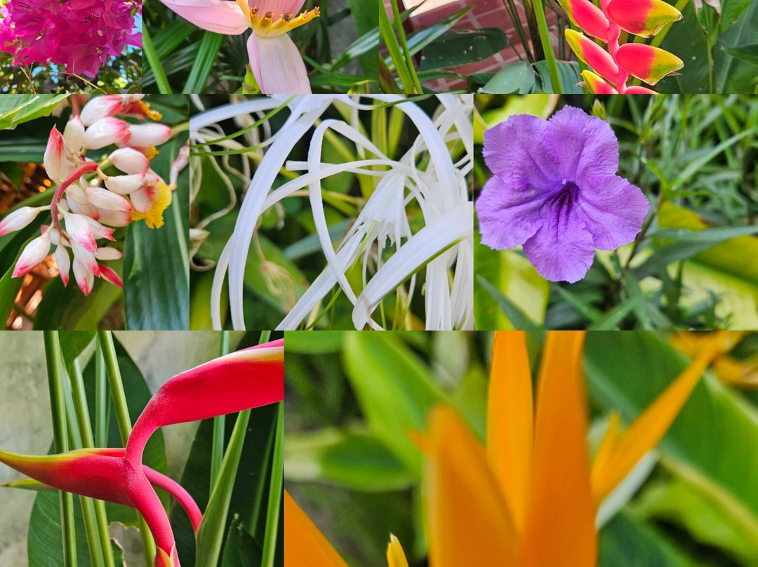 热带兰塔度假村主图