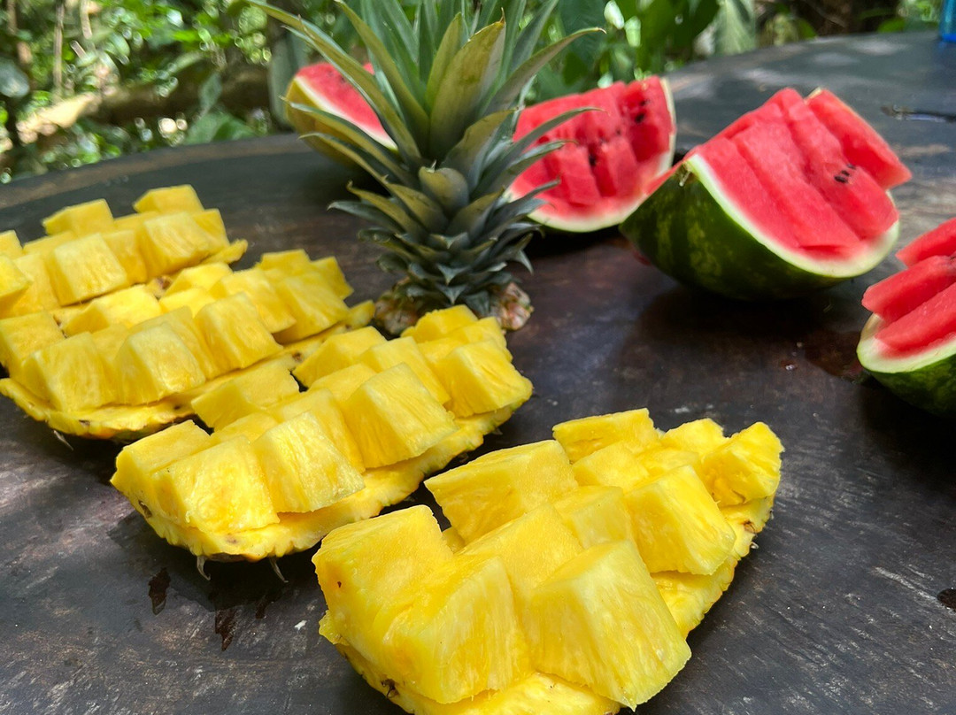 Tropical Waterfalls Tour-哥斯达黎加安东尼奥国家公园必去景点