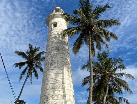 Sri Lanka Magical Tours-奴娃拉伊利雅必去景点