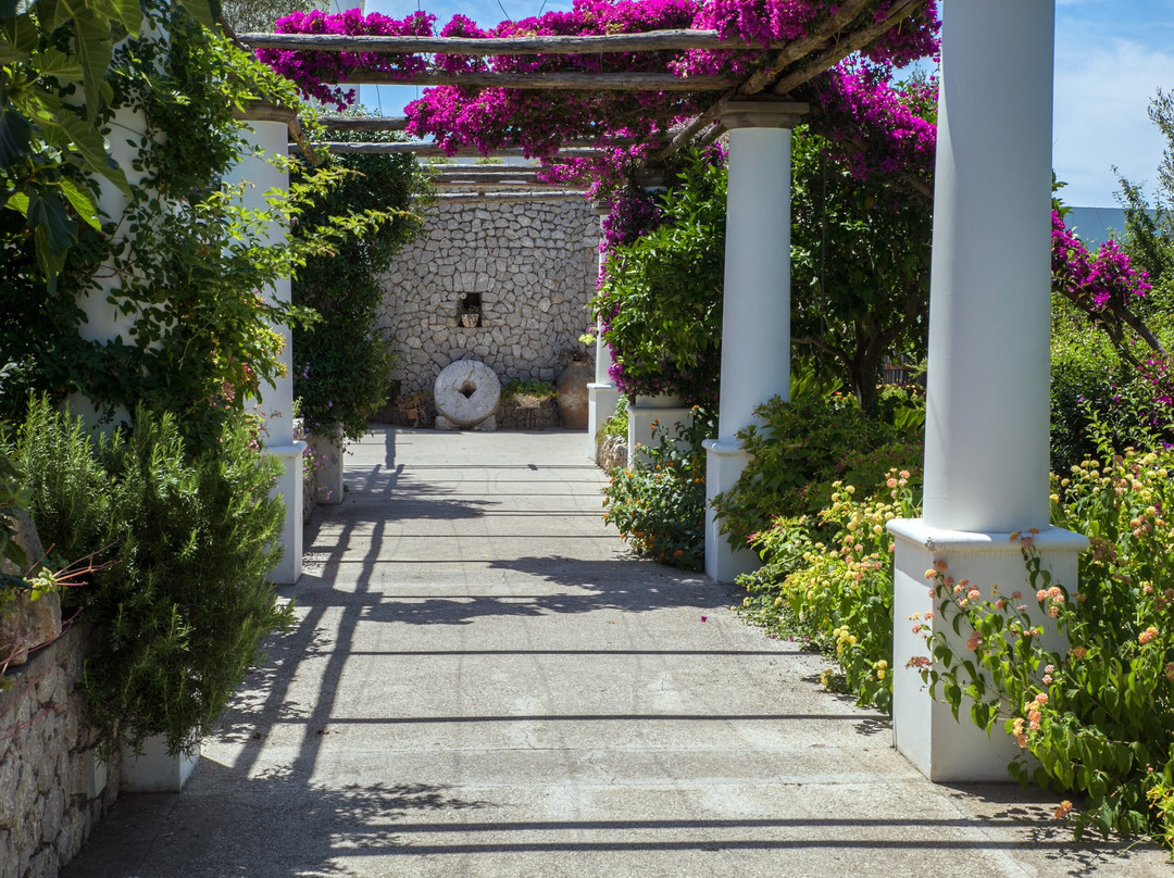 艾穆利尼奥酒店主图