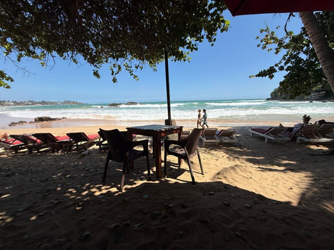 Nature Paradise Travels-科伦坡必去景点