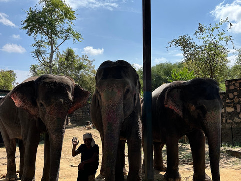 Elefun-斋蒲尔必去景点