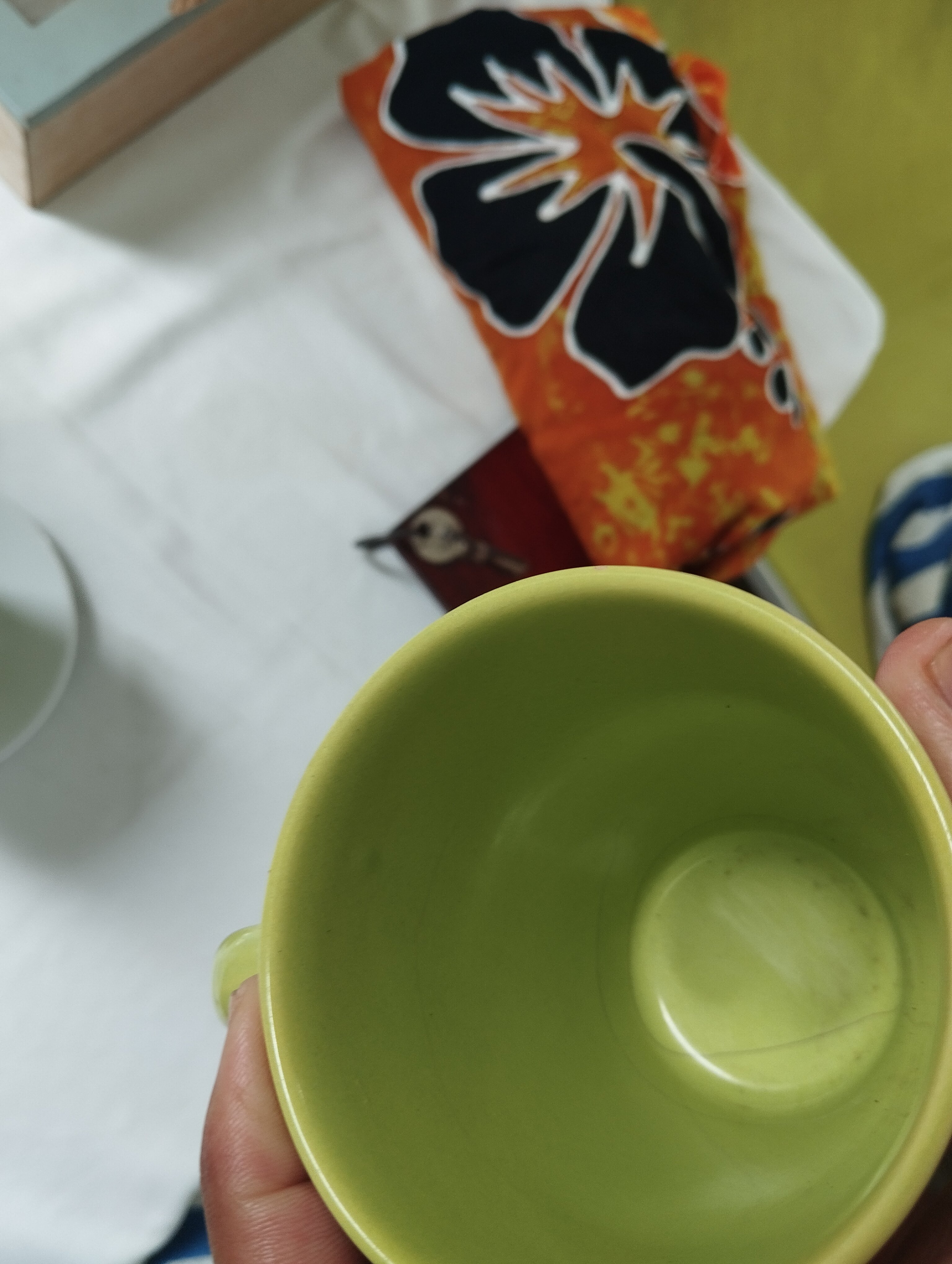 L'oiseau de Paradis-官方