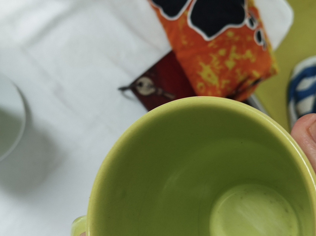 L'oiseau de Paradis主图