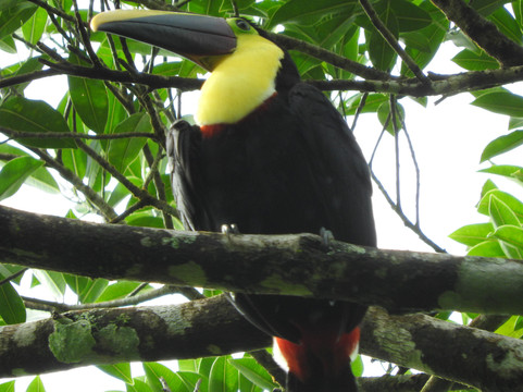 Allan Explorer-Upala必去景点