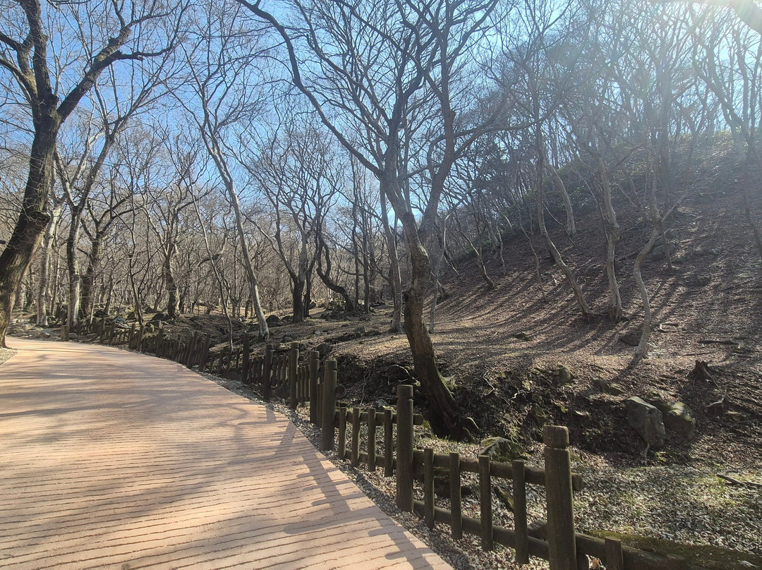 Gochang Munsusa Maple Tree Forest-高敞郡必去景点