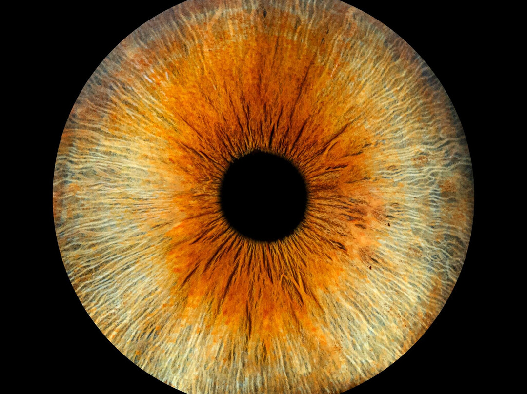 Iris Galerie Breda-布雷达必去景点