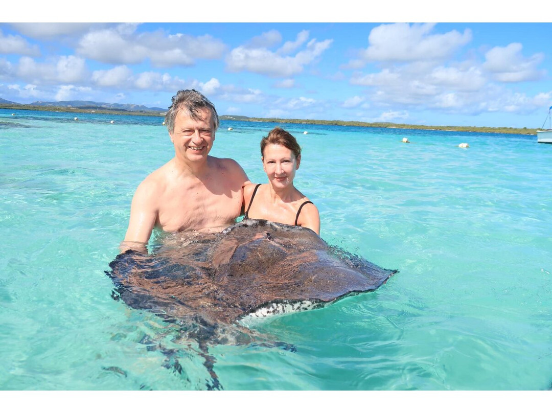 Antigua Chiama Italia Tour-Jolly Harbour必去景点