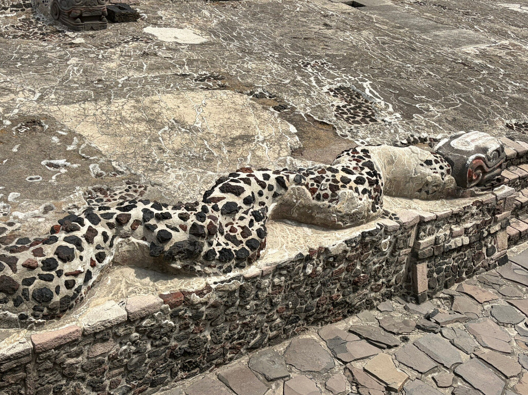 Free Walking Tour Mexico City | Guruwalk-墨西哥城必去景点