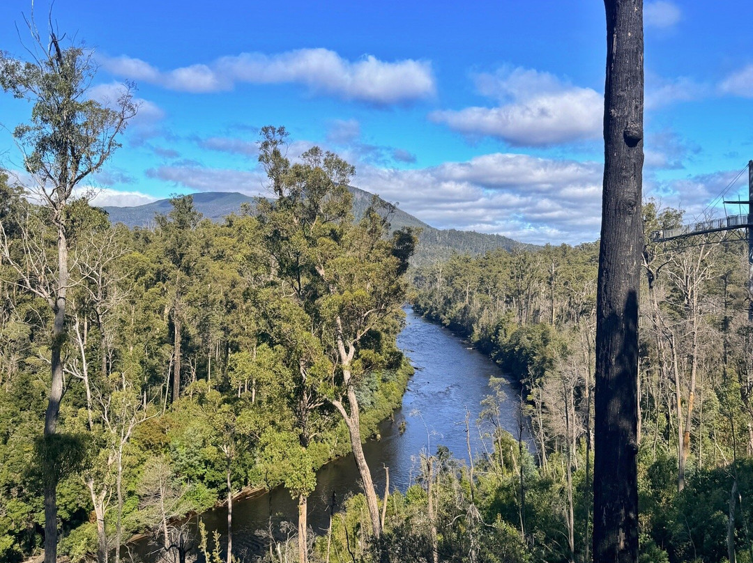 Tahune Adventures-Geeveston必去景点