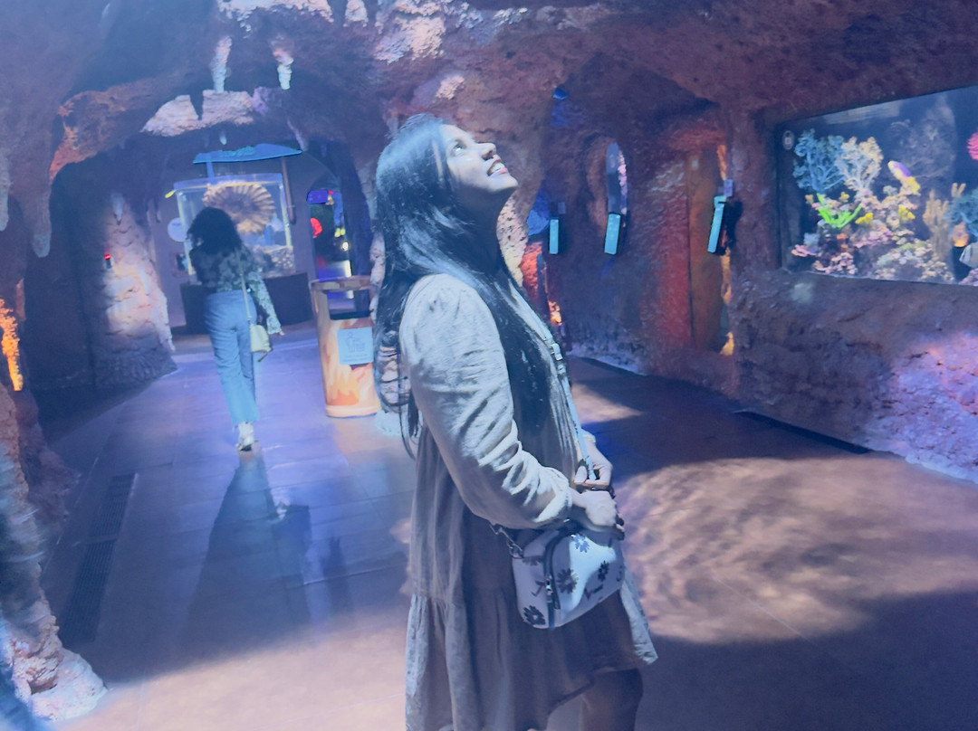 The National Aquarium Abu Dhabi-阿布扎比必去景点