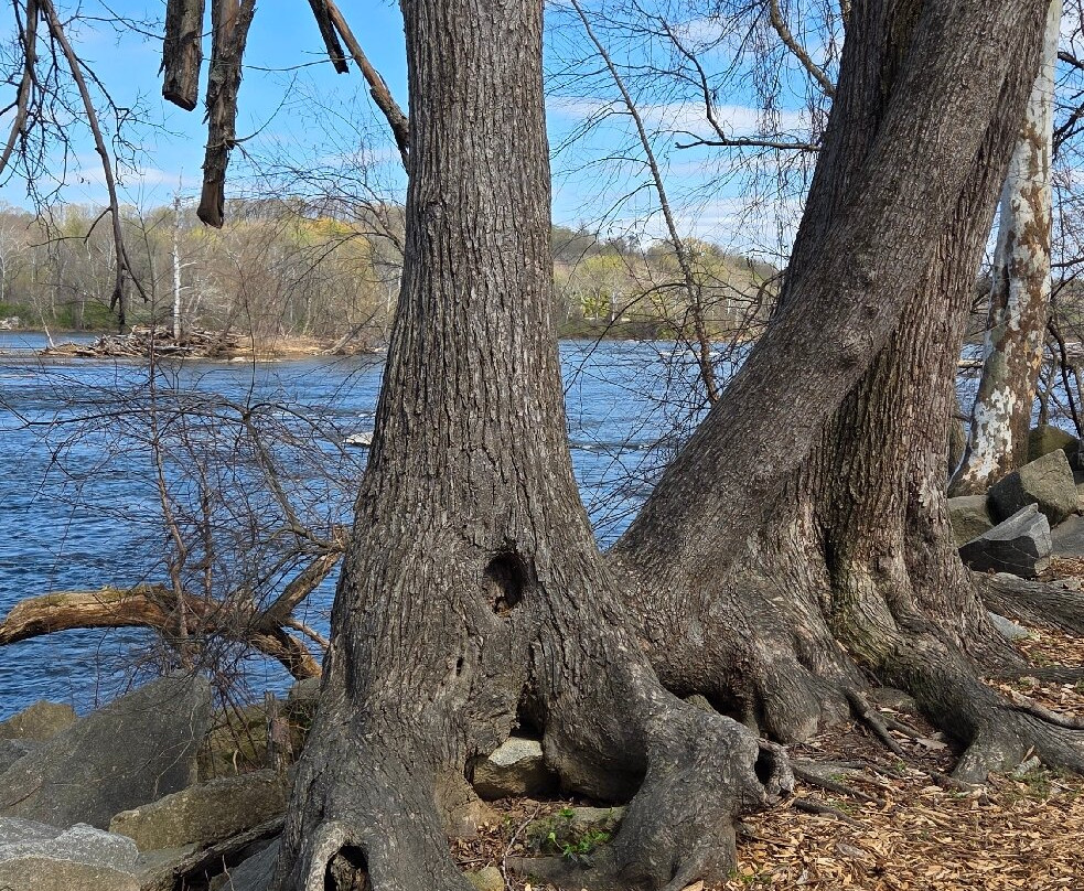 Pony Pasture Park (James River Park System)-里士满必去景点