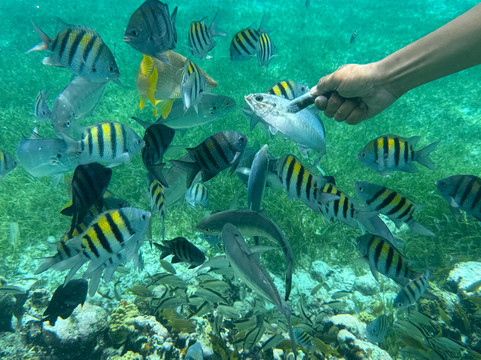 La Tua Vacanza In Messico-Solidaridad必去景点