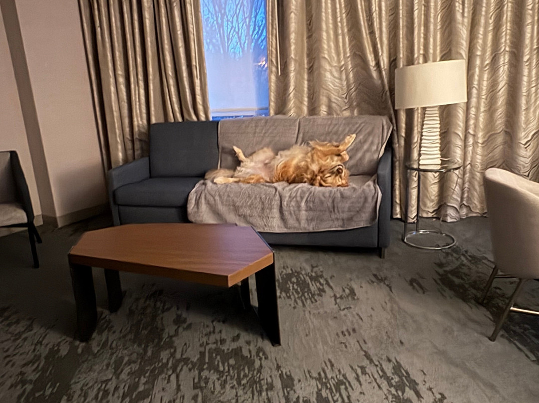 安纳波利斯威斯汀酒店主图