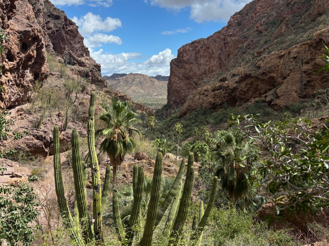 Nacapule Canyon-圣卡洛斯必去景点