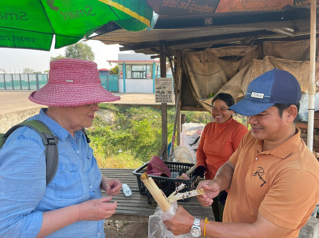 Cambodia Taxi Tours-金边必去景点