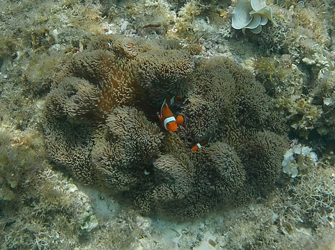 无限沙滩度假村主图