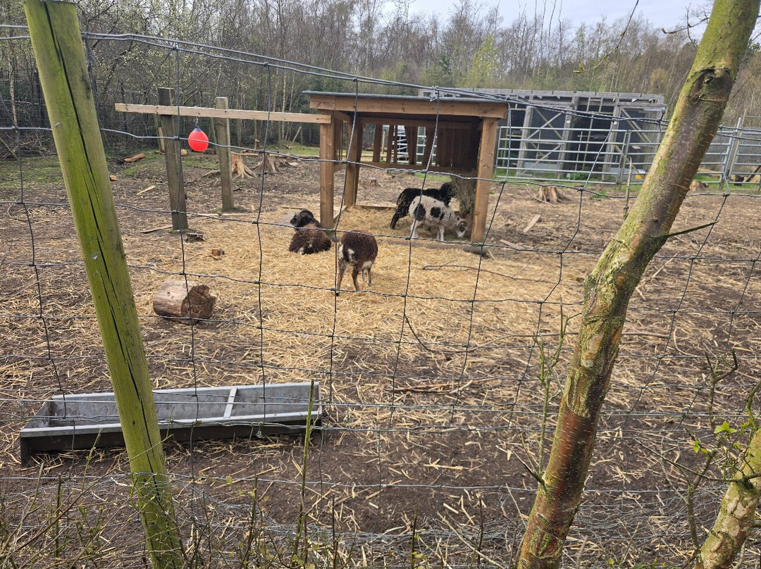 Wildwood Trust-Herne Bay必去景点