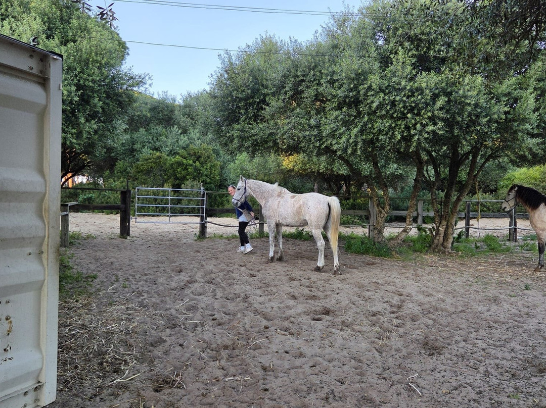 Centro Hipico Zahora-Zahora必去景点