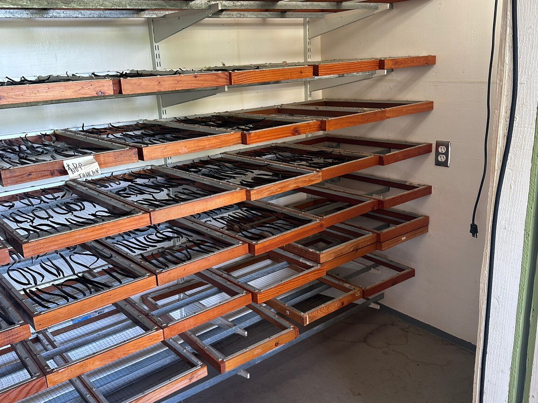 The Vanillerie-凯鲁瓦-柯纳必去景点