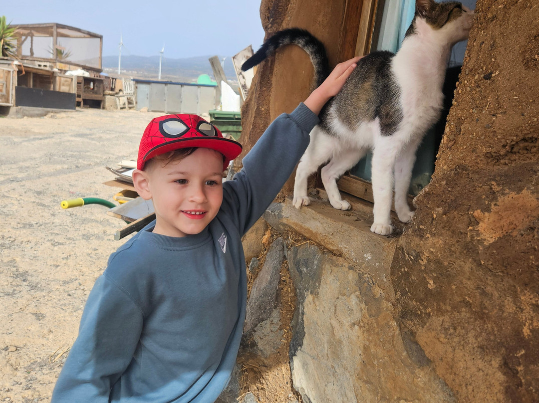 Tenerife Animal Sanctuary-圣克鲁斯-德特内里费必去景点