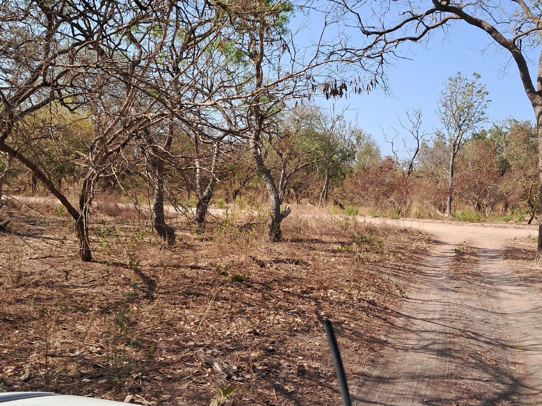 Fathala Wildlife Reserve-Dassilame Ba必去景点