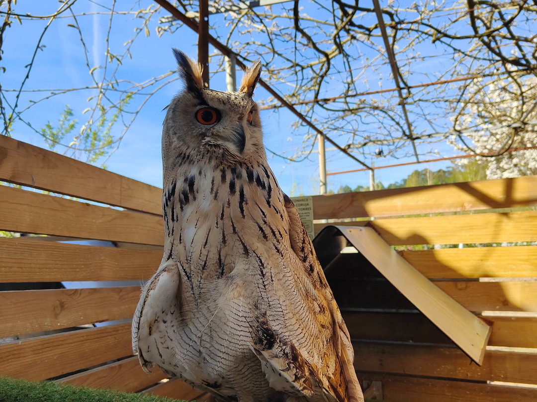 Quinta Pedagógica Quinta das Manas-吉马良斯必去景点