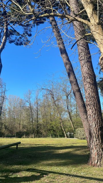 斯特拉德拉维西利亚酒店-官方