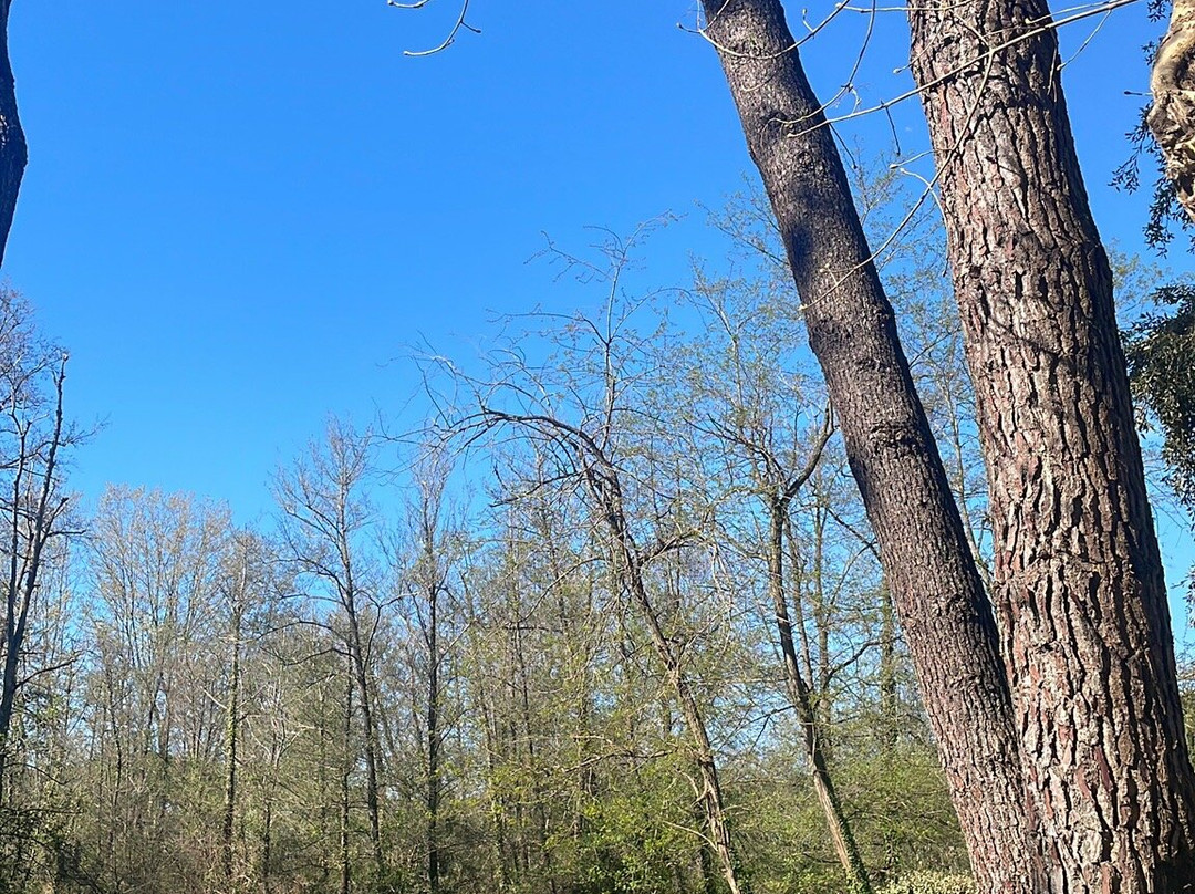 斯特拉德拉维西利亚酒店主图