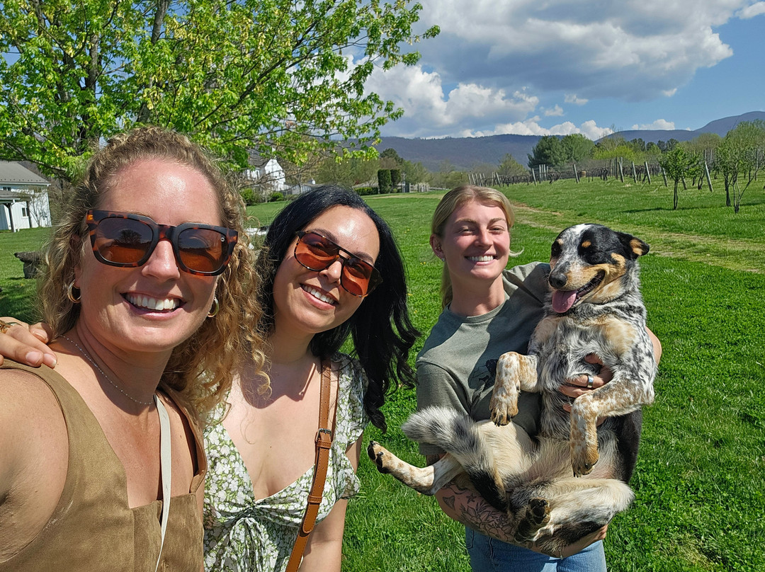 Indian Summer Guide Service-夏洛茨维尔必去景点