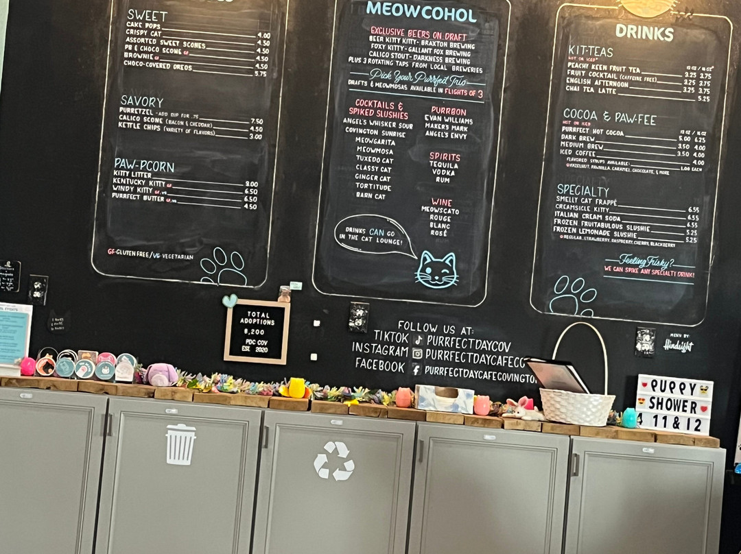 Purrfect Day Cafe Covington-卡温顿必去景点