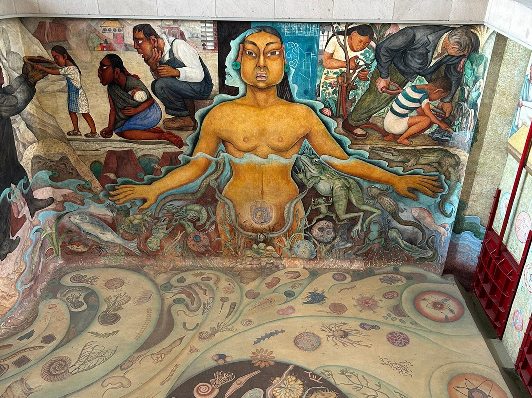 Museo del Carcamo de Dolores-墨西哥城必去景点