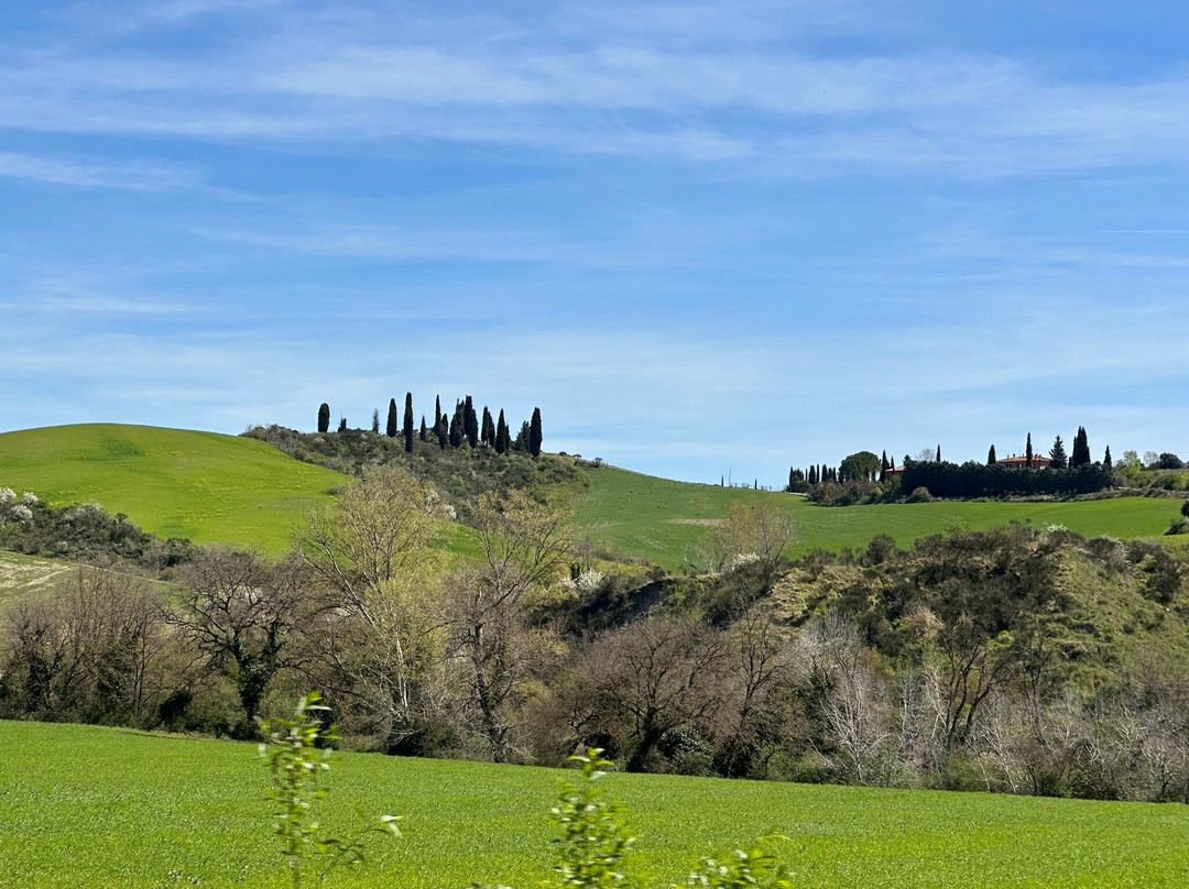 Madonnabella Winery & Wine Shop-锡耶纳必去景点