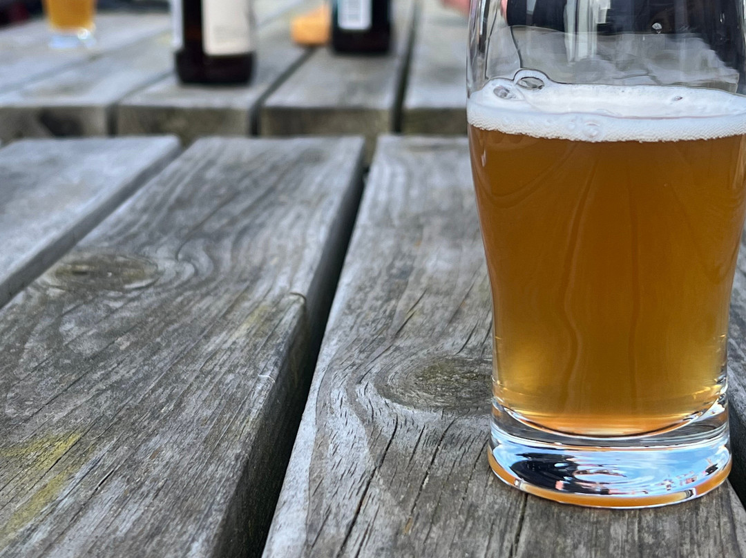 Jyllandsakvariet-Thyboron必去景点