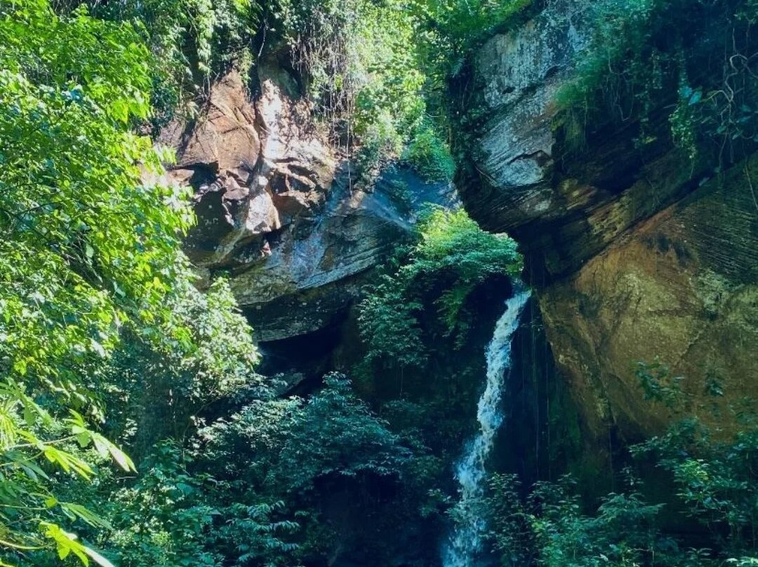 Território Selvagem Canoar-Brotas必去景点