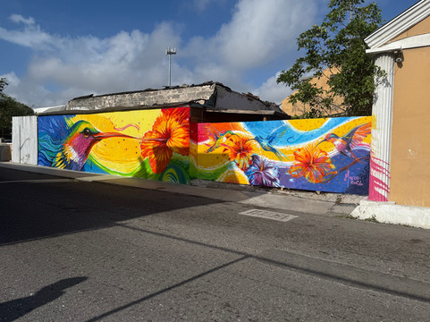 Adventures Caribbean-拿骚必去景点