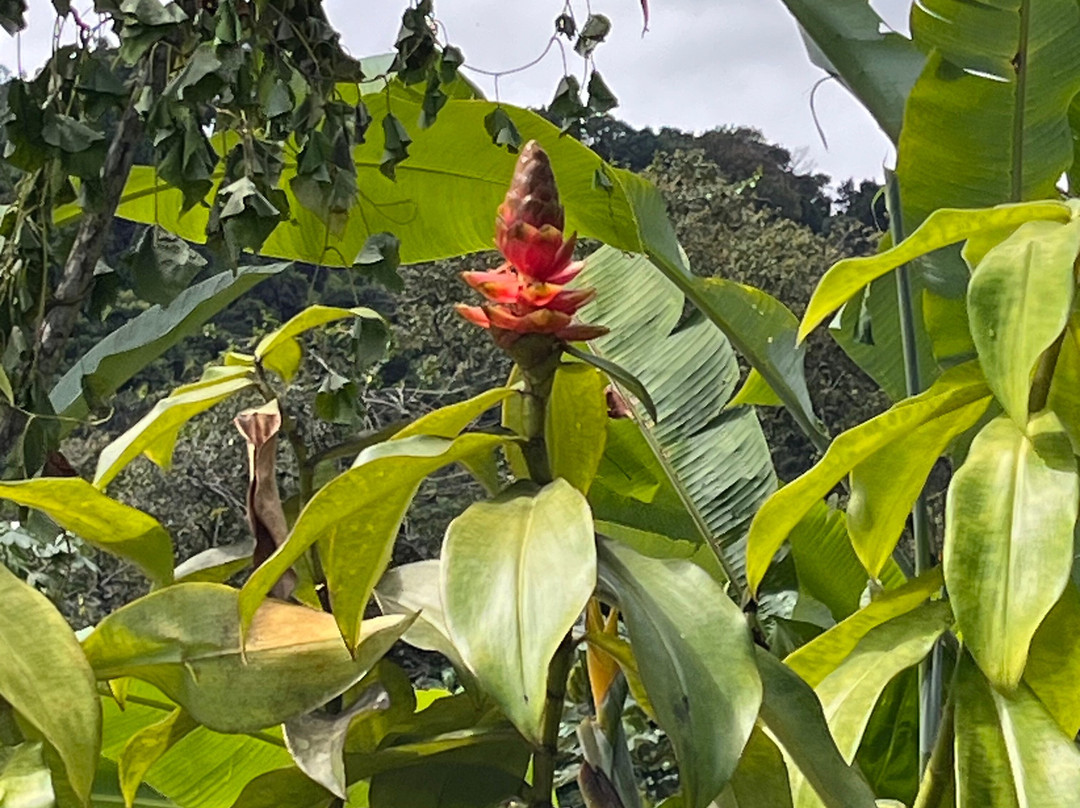 Jardin Botanique de Valombreuse-Petit-Bourg必去景点