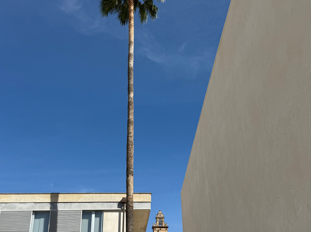 Andalusian Center for Contemporary Art-塞维利亚必去景点