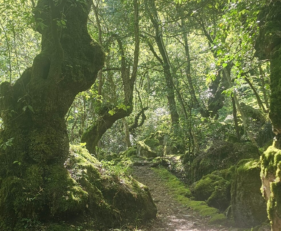 Bosco Del Sasseto-Acquapendente必去景点