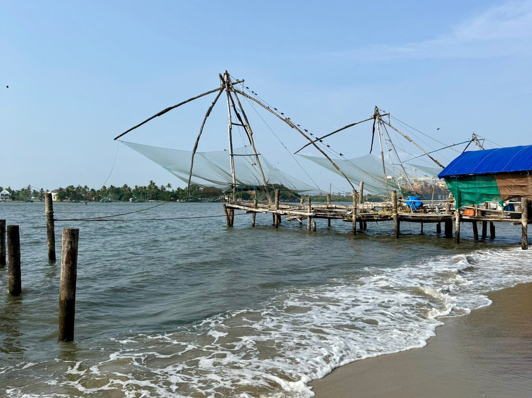 Bodhi Tree-柯钦必去景点