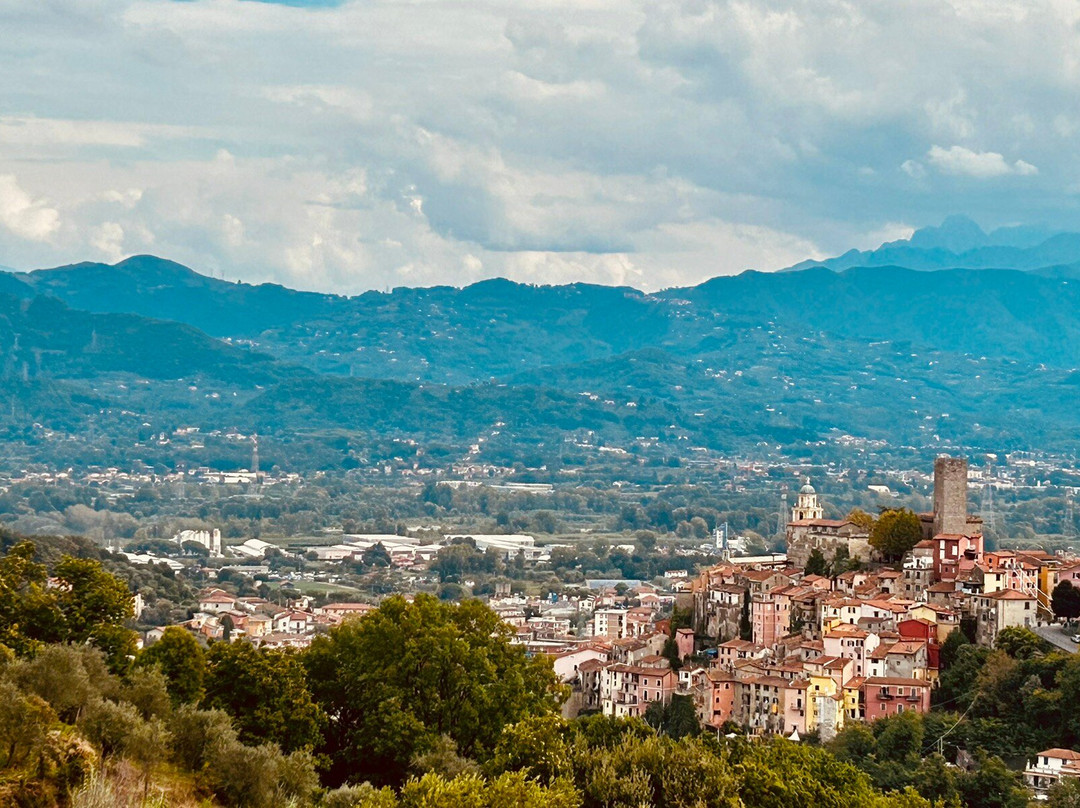 Arcola-Arcola必去景点