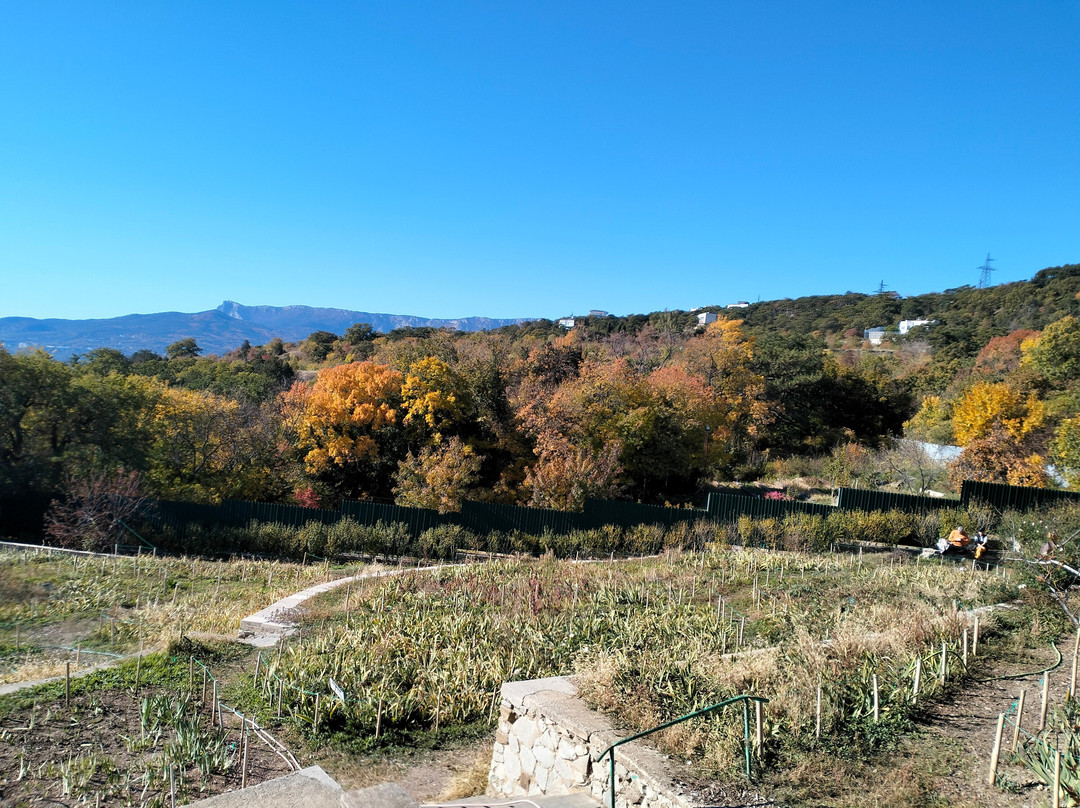 Nikita Botanical Gardens-Nikita必去景点