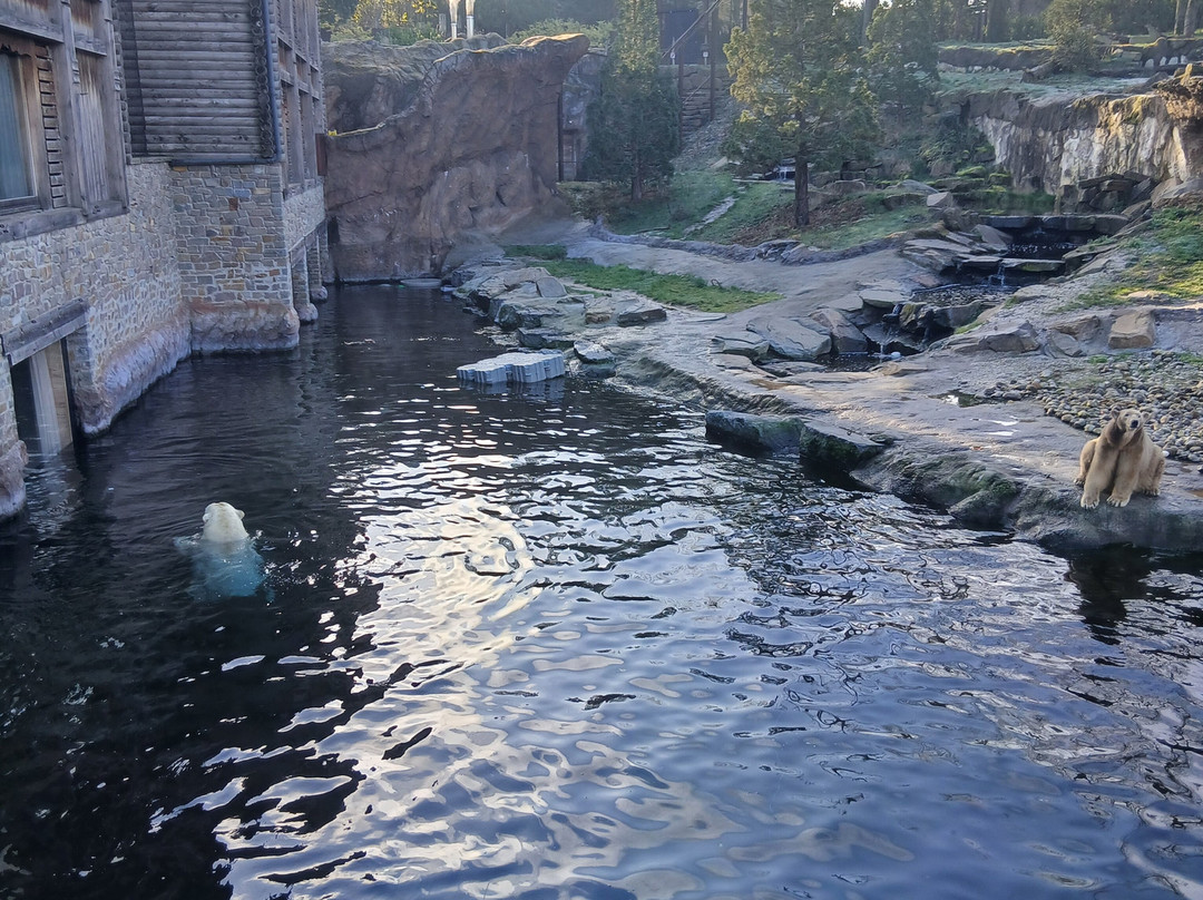 Pairi Daiza Resort主图