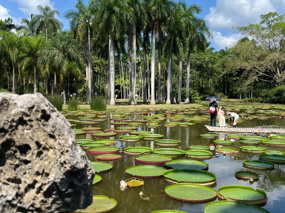 Xishuangbanna Tropical Botanical Gardens-勐腊县必去景点