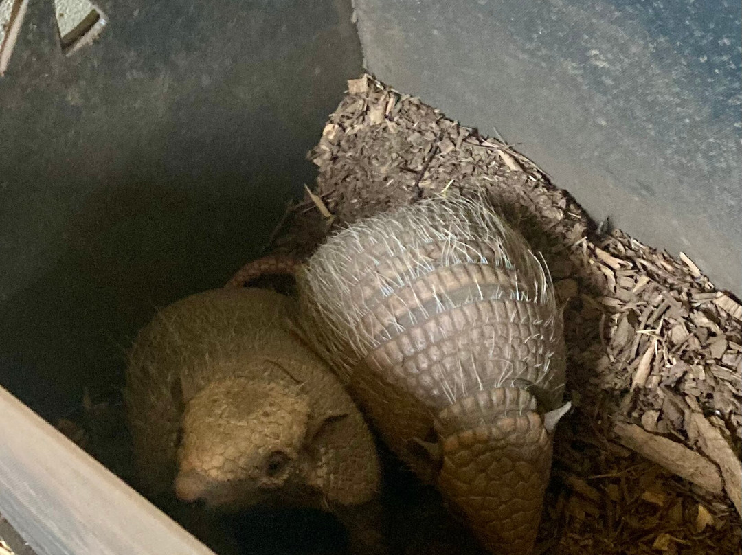 Northumberland College Zoo-Ponteland必去景点