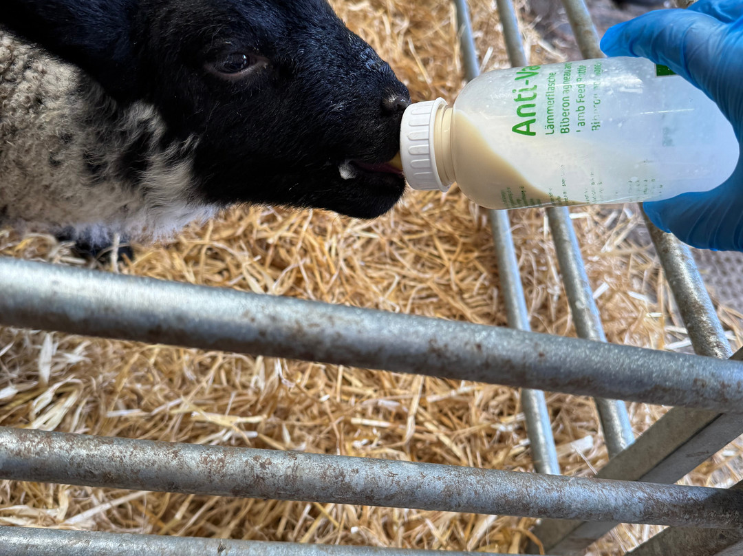 Craigbank Farm-Kilmarnock必去景点