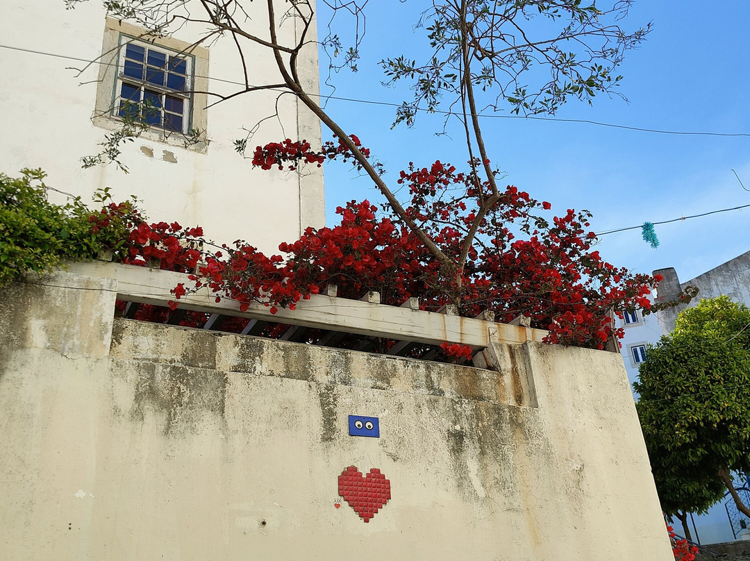 Tours Of My Life - Lisbon-里斯本必去景点