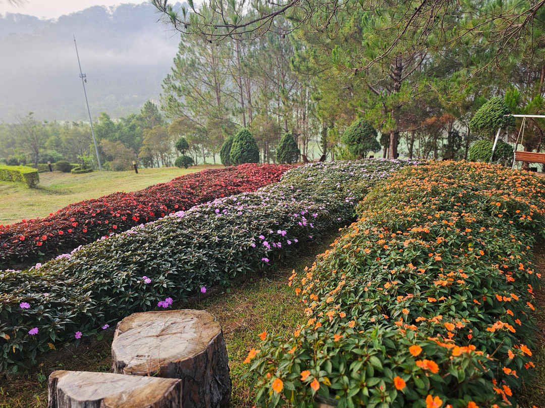 图亚兰大叻瑞士贝尔度假村主图