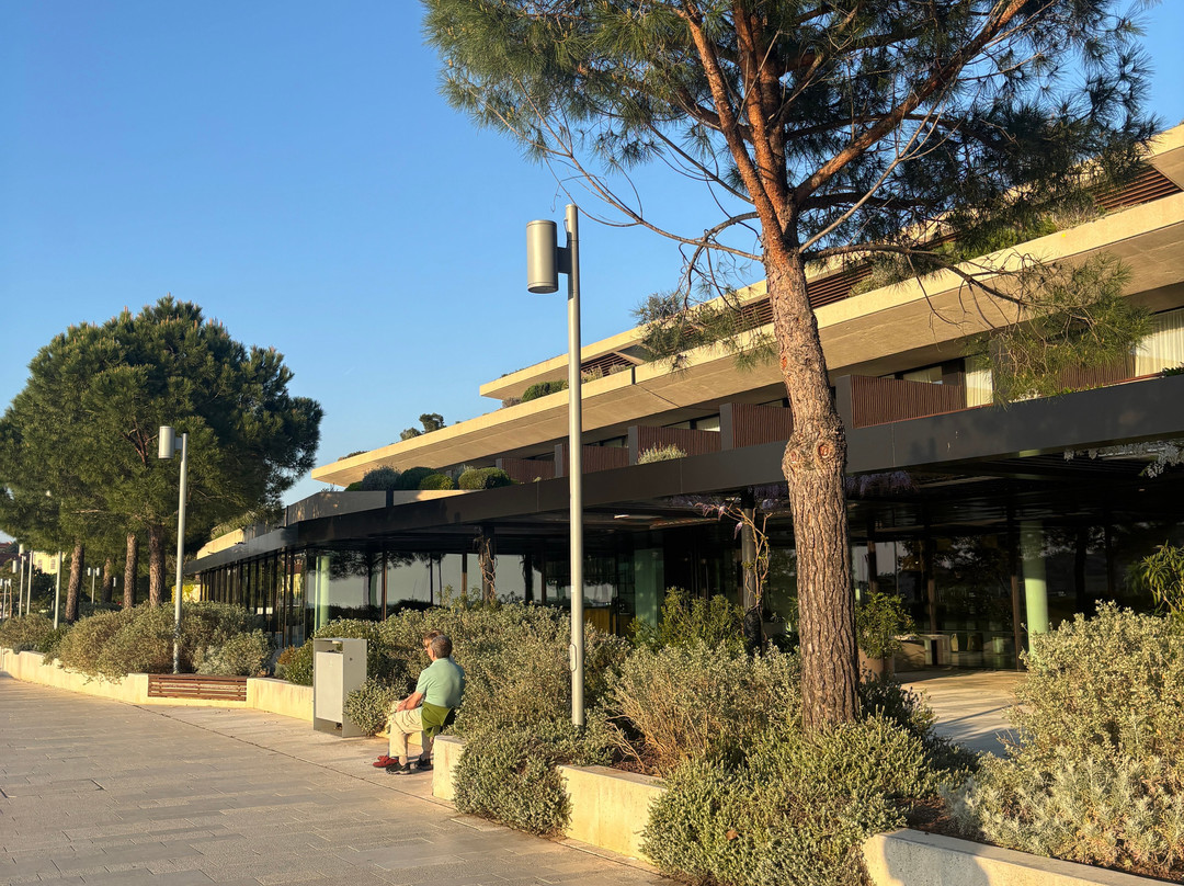 罗威尼大公园酒店 - 麦斯特拉精选主图